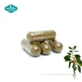Energy Support Capsules: Ashwagandha, Turmeric & Ginger Extract Blend